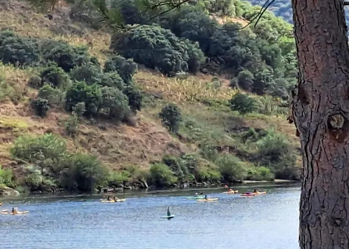 Quinta Do Rijo * توري دي مونكورفو